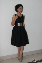 Srimanthudu Movie Thank You Function